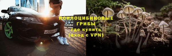 тгк Алексин