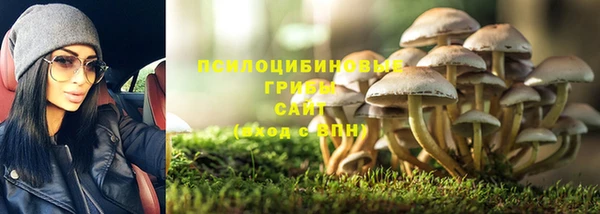 твердый Алзамай