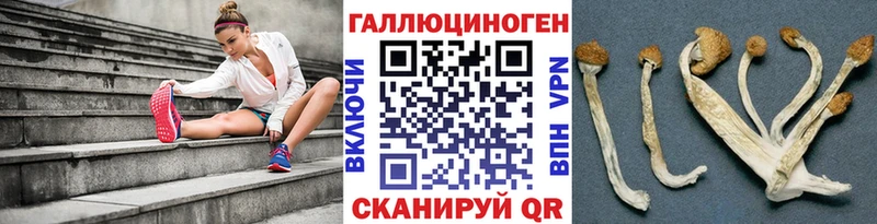 Псилоцибиновые грибы Magic Shrooms  Олонец 