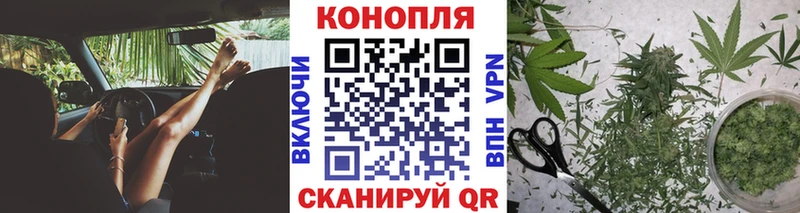 Бошки марихуана OG Kush  Олонец 